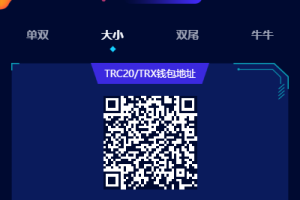 （代码完整）【哈希】前端vue版哈希竞彩/区块链哈希值游戏/usdt/trx双玩法